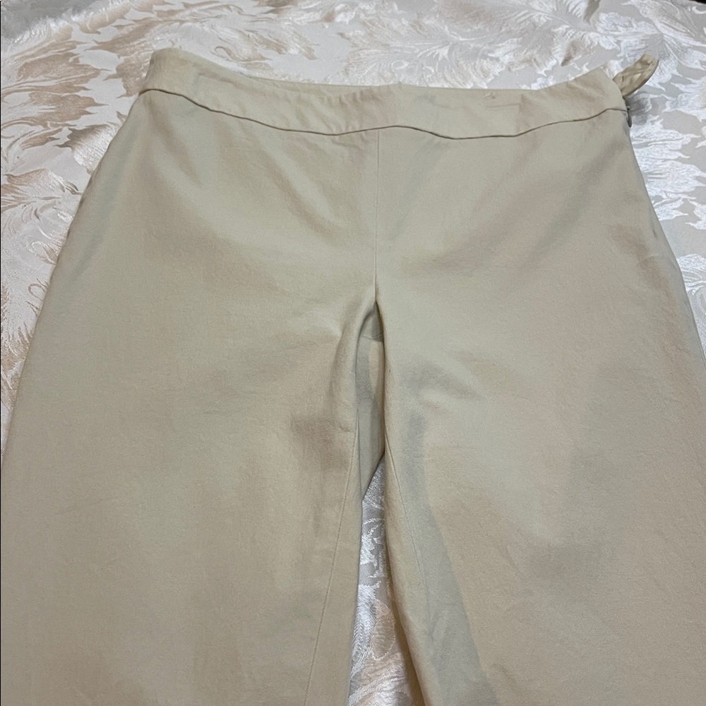 Talbots Chatham ankle pants Pants, size 2P EUC - Picture 2 of 6